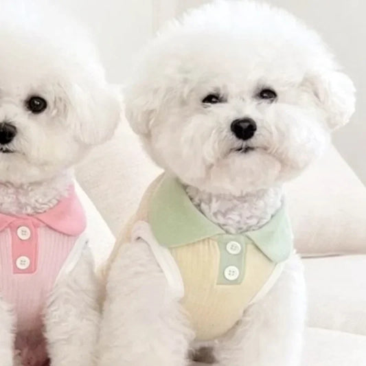Summer Pet Polo Shirt – Breathable & Fashionable Vest for Dogs and Cats