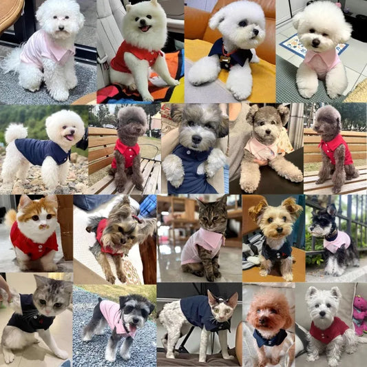 Polo Shirt for Small & Medium Dogs – Cute Solid Summer Pullover