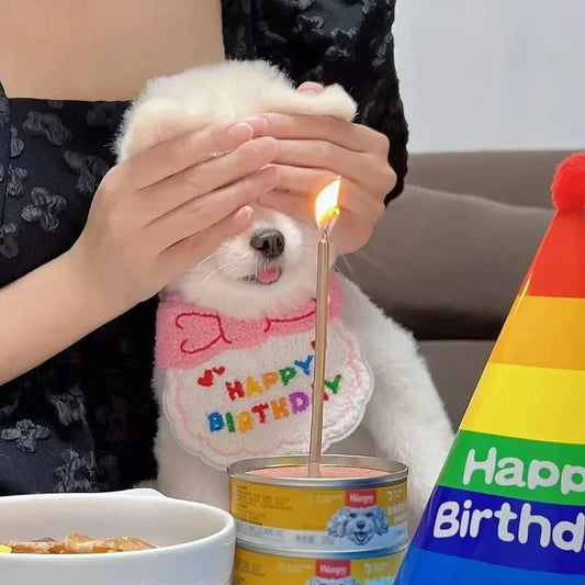 Adorable Birthday Hat & Bandana Set – Pet Birthday Accessories