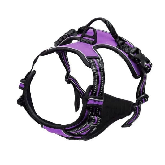 Leather Dog Collar, Harness & Leash Set – Medium & Small Dog Accessories